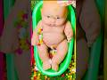 Long Slide Game with Elephant Gorilla Buffalo Hippopotamus Tiger - 3d Animal Game Funny 3d Animal