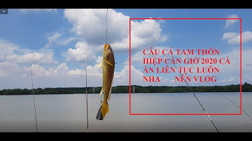Câu cá Tam Thôn Hiệp CẦN GIỜ 2020 | NÊN VLOG