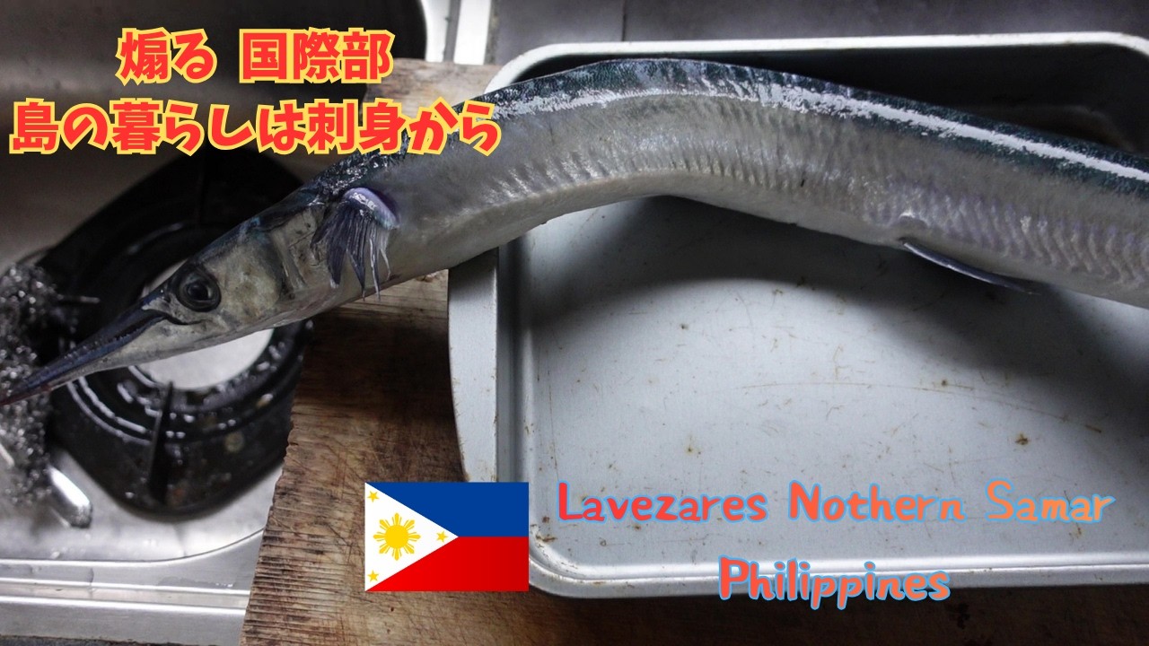 【サリサリ放談】日本人には刺身が一番！　亜熱帯で自分で仕立てた魚をいただきます。Lavezares Northern Samar Philippines