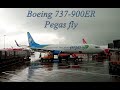 Посадка в низкую облачность Boeing 737-900ER Pegas Fly