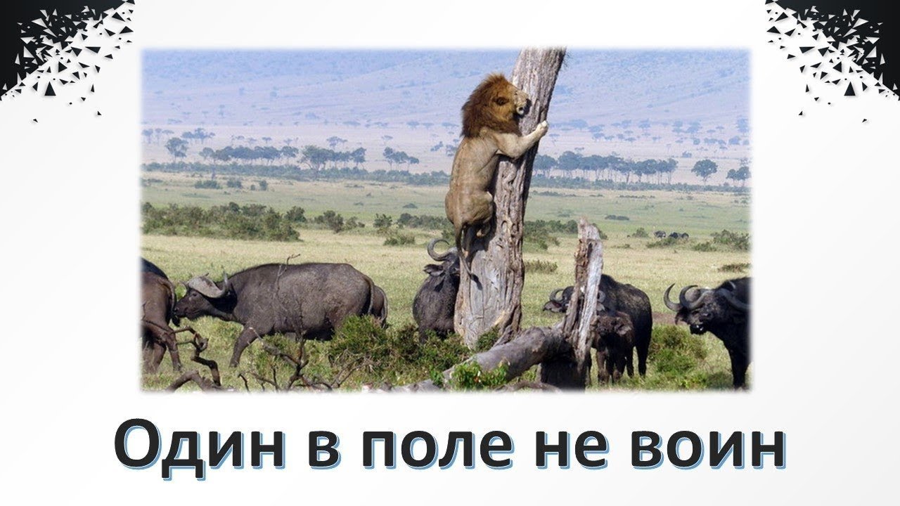 КАЛИБР: deep state один в поле НЕ воин