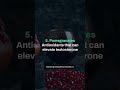 Top 10 Testosterone Boosting Foods Every Man Should Eat 🍳💪 (Low T Fix)