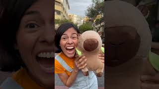 Chris 💙💙💙 a #capibara #capibaradeleste #musicainfantil #cancionesinfantiles #kidsmusic #animals