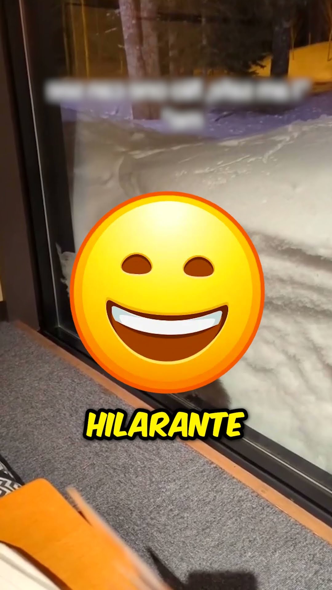 ¡Pensó que era invisible! ??