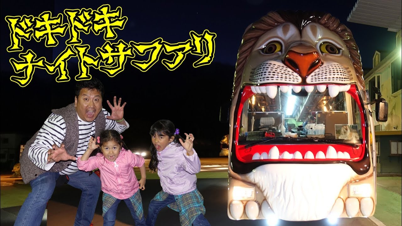 夜の動物は元気 ライオンバスでナイトサファリにレッツゴー In那須himawari Ch Youtube