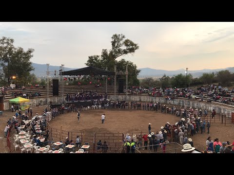 EN VIVO LA FREGONA Y RANCHO BARRIGA +JARIPEO EN TIRIPETÍO MICHOACAN 2019 jaripeo outfits