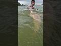 Underwater big fish come out #fish #videos #fish #shorts #viral_shorts