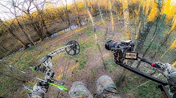 How to Self-Film Your Own HUNTS | Step-by-Step Guide in a Treestand