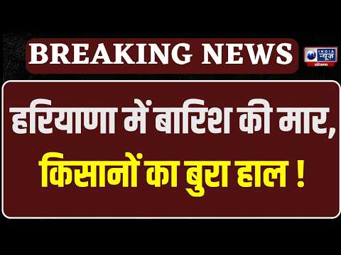 Haryana Dhan Kharid : Haryana में धान खरीद पर संकट, बारिश के बीच मंडियों में किसान बेहाल |India News