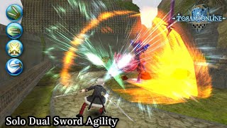 Toram Online - Solo Dual Sword Agility Against Black Shad