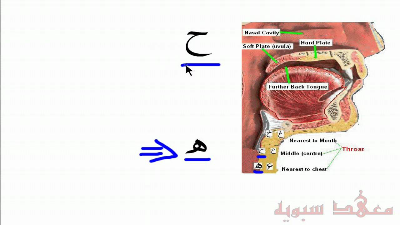 Arabic For Beginners: Question - Pronouncing Haa (ه) And Haa (ح)