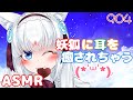 【ASMR/白3dio】妖狐に耳を癒されちゃうやつ！【オイルマッサージ/耳かきブラシ/タッピング/耳はむ】