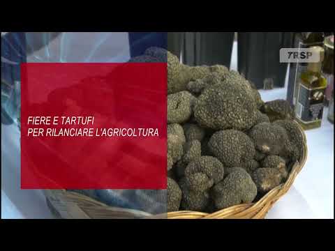 TITOLI TG NEWS MOLISE DEL 30.11.25 - TRSP -