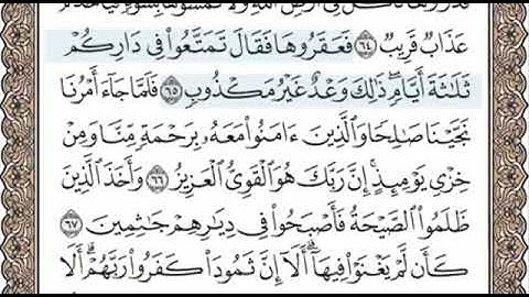 سورة هود الصفحة 229 الشيخ محمد صديق المنشاوي