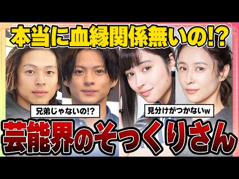 【有益2ch】本当に血縁関係ないの!?芸能界のそっくりさん【ガルちゃん芸能人】