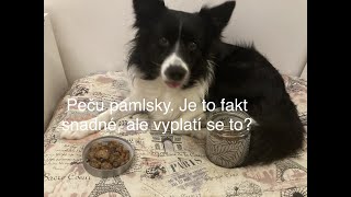 Pejskařský tip: domácí pamlsky - dog treats