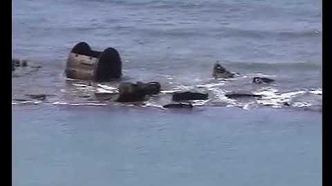 Tsunami 2004 Colombo, 20 minutes nonstop video  2004