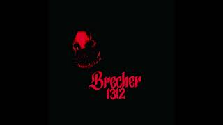 Brecher1312 - Neue Masche