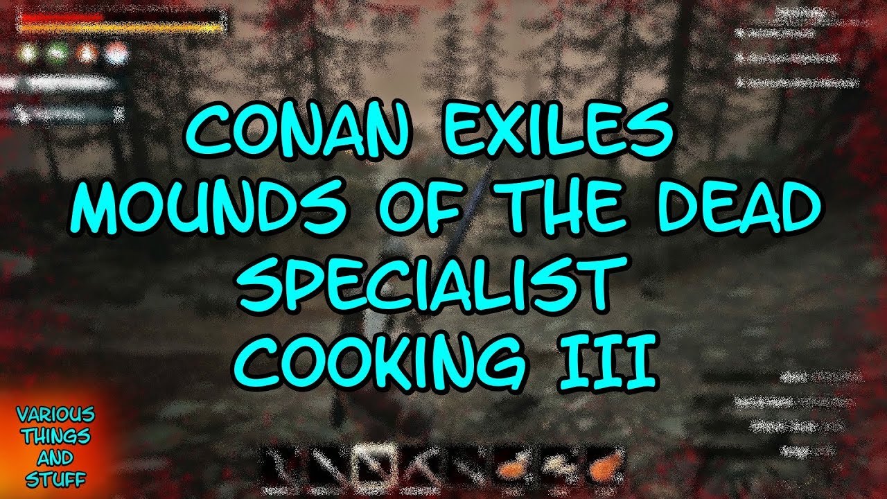 Cooking conan How To