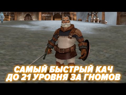 Видео: ТОП ПЕРС В Л2. СТАРТ-КВЕСТЫ 1-21(ГНОМЫ)/ BoHpts - Lineage 2 - Asterios / Prime x1