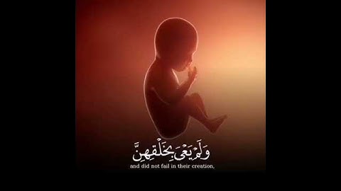 اولم يروا أن الله الذي خلق السموات الارض ولم يعي بخلقهن تلاوه خاشعة ماهر المعيقلي