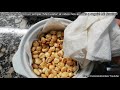 Como preparar canchita peruana