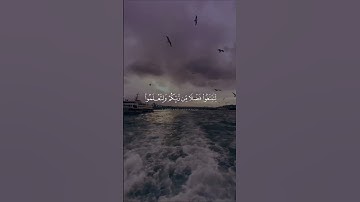 وجعلنا الليل والنهار آيتين | ستوري قرآن قصير من سورة الإسراء | ياسر الدوسري