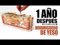 ABRO LA NUEVA ZONA del hormiguero de yeso 😱 1 año después !!