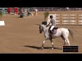 The 334 sportshorse stud a150m riders grand prix tour 2024