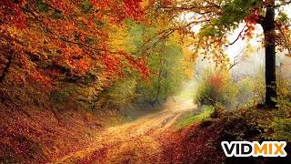 Rathu araliya malak wage