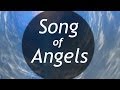 Song of Angels | Freddy Hayler | It's Supernatural with Sid Roth