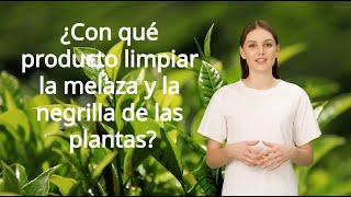 ¿Con qué producto limpiar la melaza y la negrilla de las plantas?