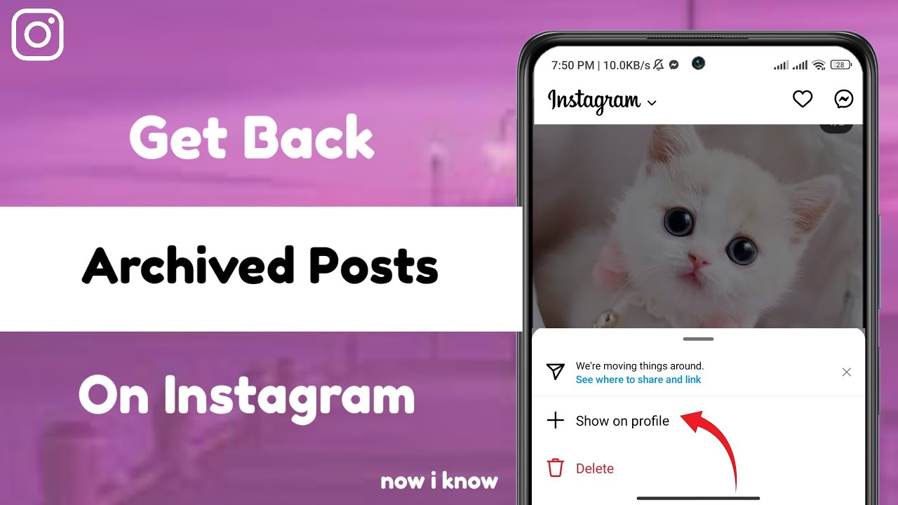 how-to-get-back-archived-posts-on-instagram-2023-youtube