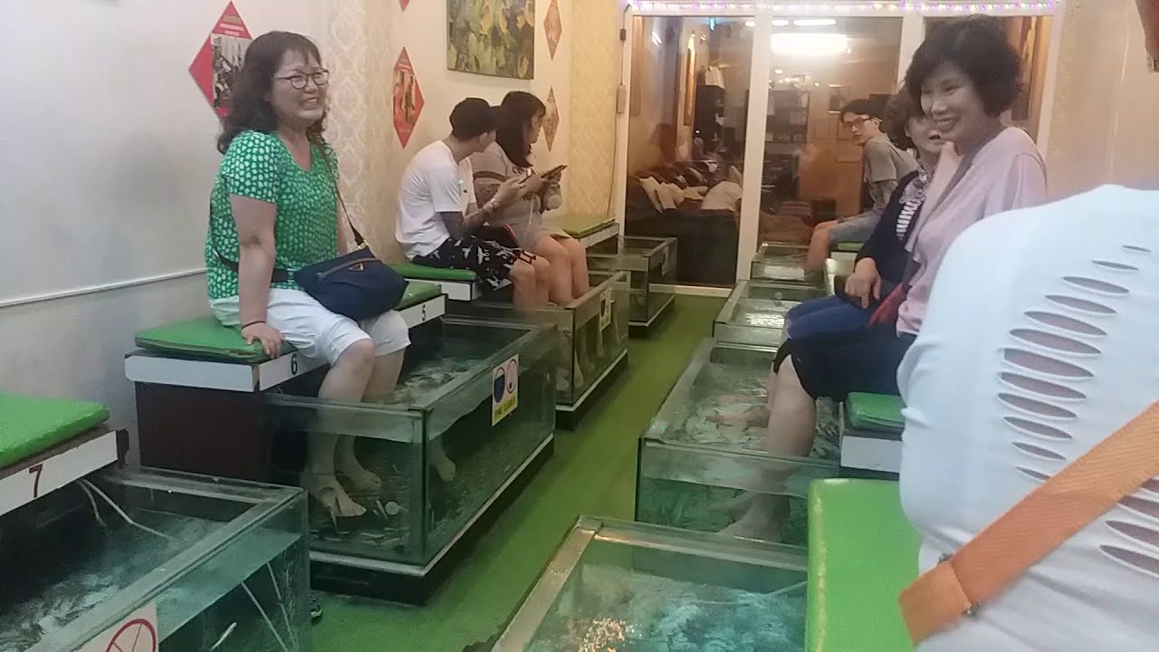 Thailand pattaya Fish massage YouTube