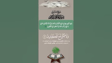 قران كريم من سوره هود بصوت الشيخ ادريس ابكر 🩶🎧 #راحة_نفسية #قرآن #قران_كريم