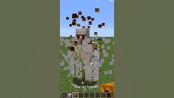 Armored Pillager VS Iron Golem #shorts