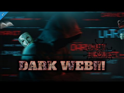 Darknet Desires: Unmasking The Hidden Players