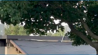 Overhang collapses on truck at Beth Israel Temple in York