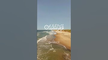 قرآن كريم للقارئ شايع التميمي 🎧