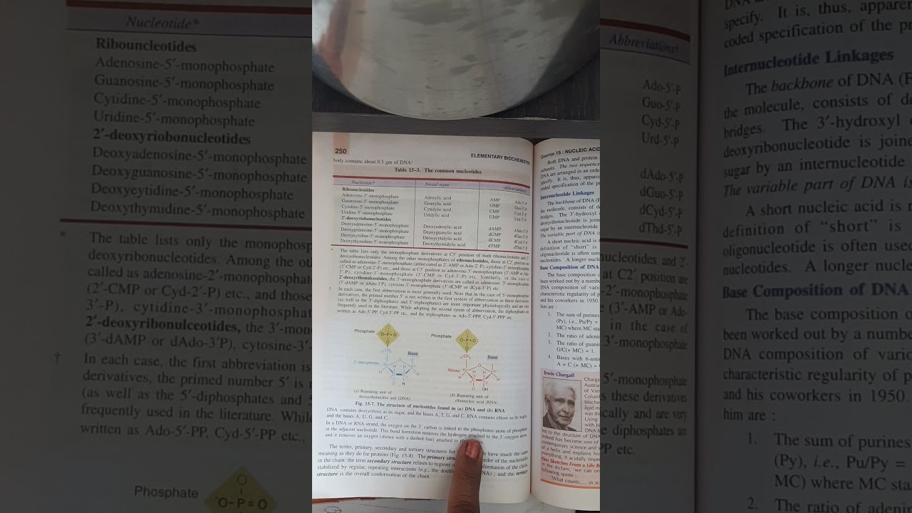 primary, secondary and tertiary structure of DNA - YouTube