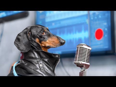 Best Song, For Best Mom! Cute & funny dachshund dog video!