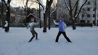 Snow scenic fight.