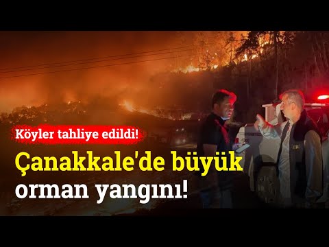 Çanakkale'de Büyük Orman Yangını! 9 Köy ve Üniversite Kampüsü Tahliye Edildi