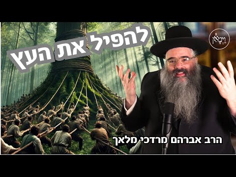 להפיל את העץ