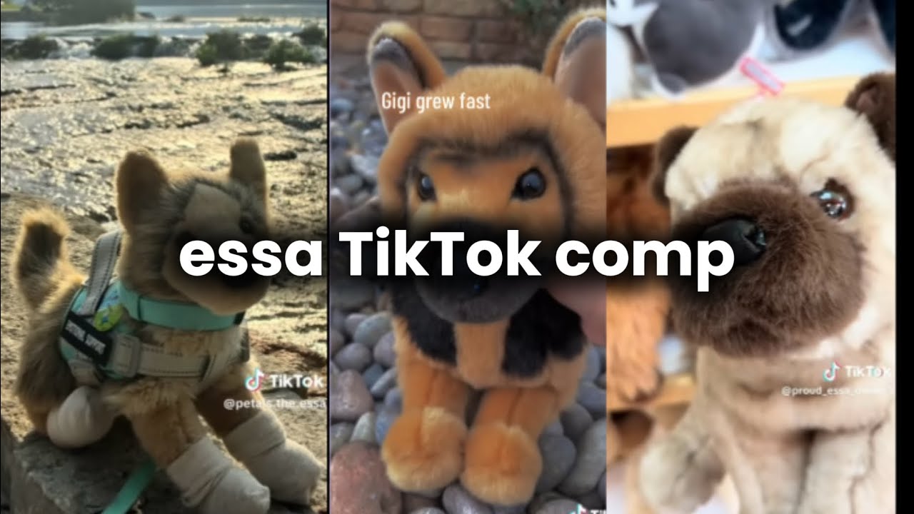 ESSA TikTok compilation #1 