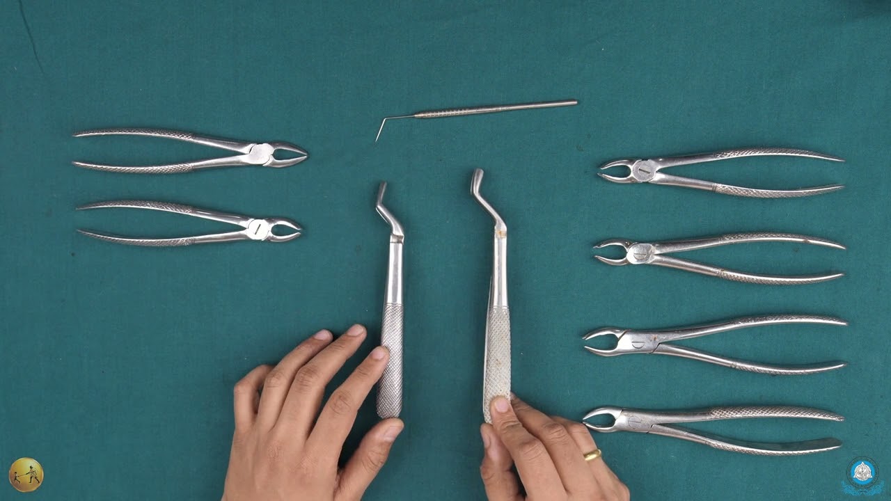 Maxillary Set of Forceps