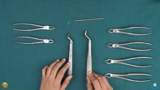 Maxillary Set of Forceps