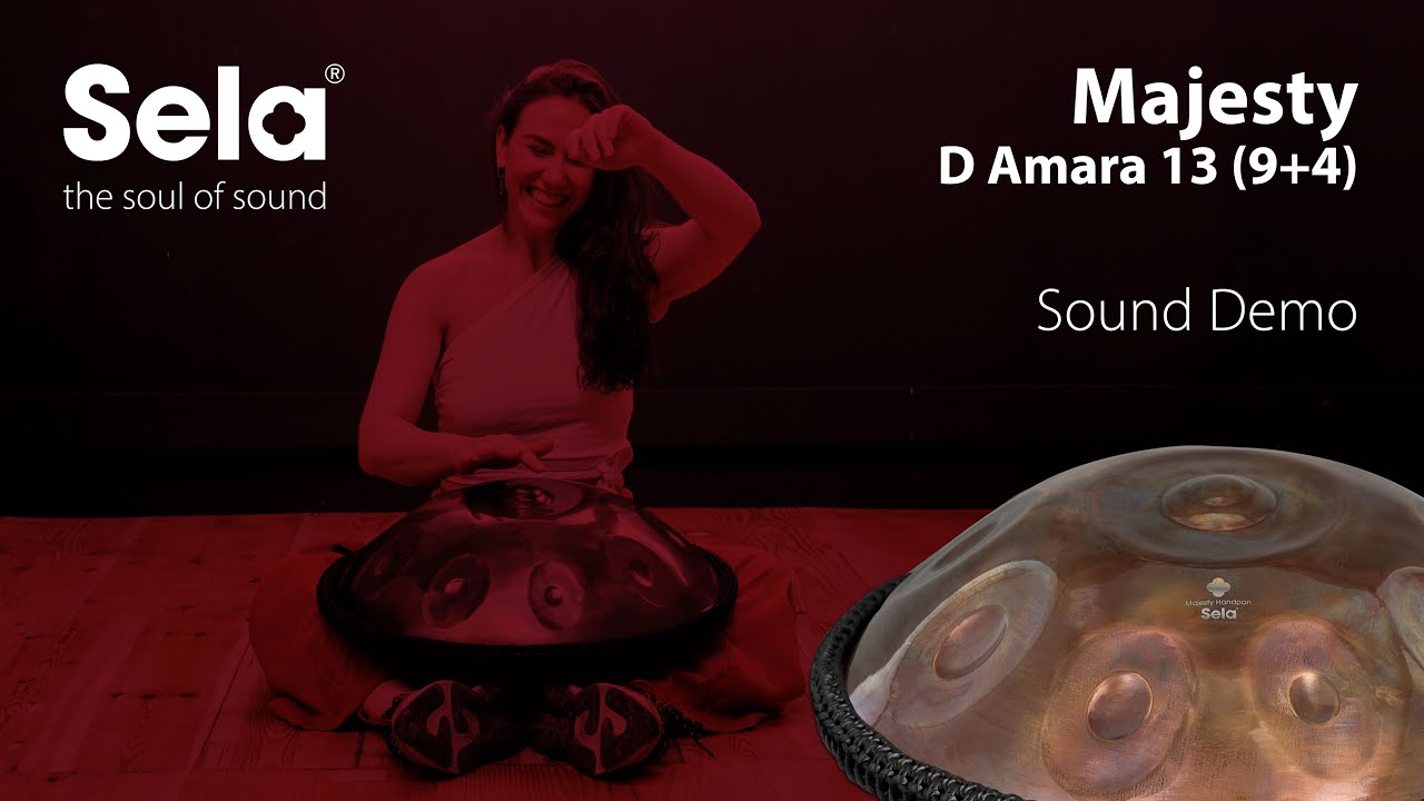 Sela Majesty Handpan D Amara 9+4 (440 Hz) - SE 310