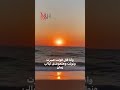 هي نقصاك انت كمان ايهاب توفيق احمد عيد مصر لبنان منال شريم Ehabtawfik Sunset Love Explore 