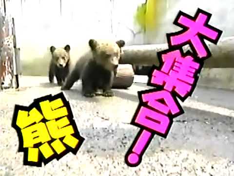 昭和新山熊牧場CM 北海道ローカル